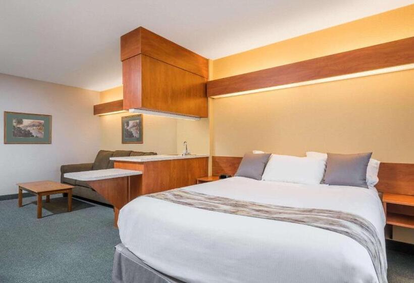 Студия Стандарт, Microtel Inn & Suites By Wyndham New Ulm