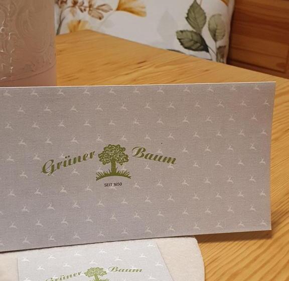 テラス付き１ベッドルームアパートメント, Gasthof Grüner Baum
