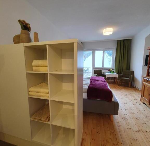 テラス付き１ベッドルームアパートメント, Gasthof Grüner Baum