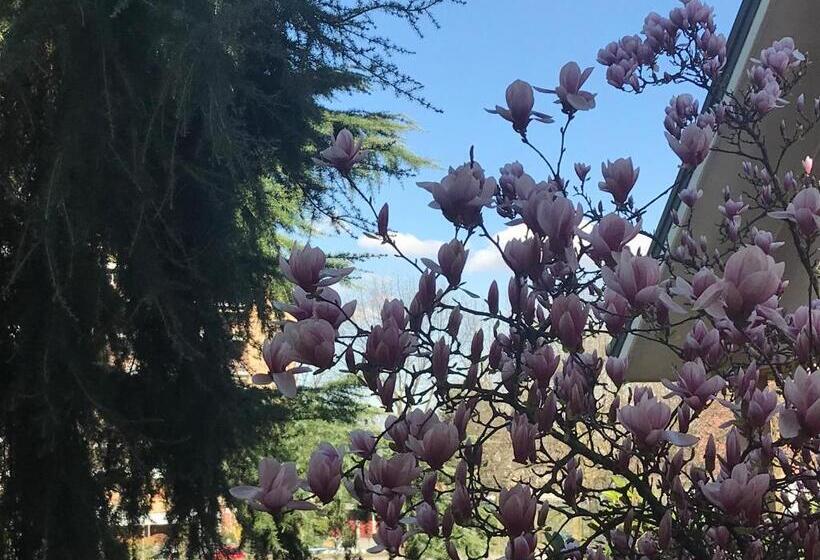 اتاق استاندارد با تخت بزرگ, B&b Borgo Dei Fiori