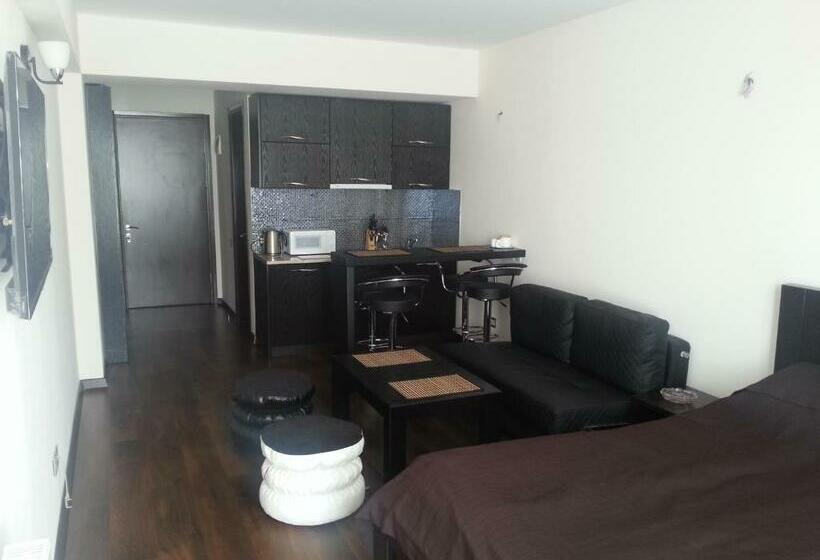 استودیوی استاندارد, New Gudauri Apartment