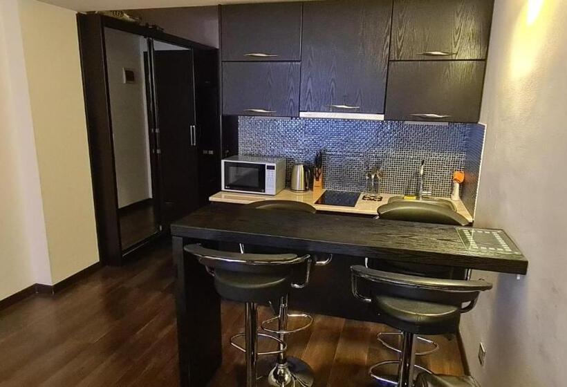 استودیوی استاندارد, New Gudauri Apartment