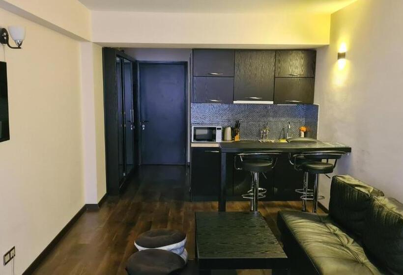 استودیوی استاندارد, New Gudauri Apartment