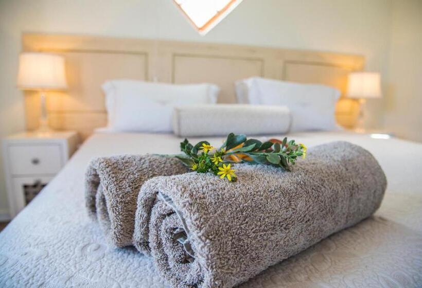 Стандартный Номер Кровать Кинг, Grootvlei Guest Farm