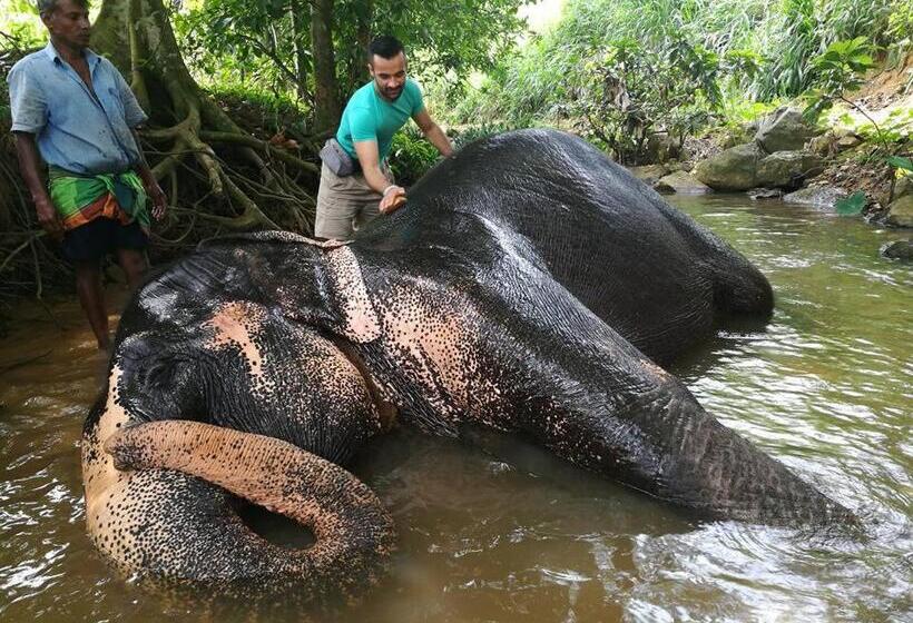 Номер Economy, Elephant Reach Villa Pinnawala