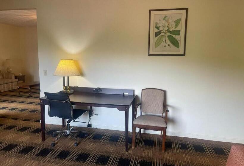 Люкс Deluxe Кровать Кинг, Budgetel Inn & Suites Dillard
