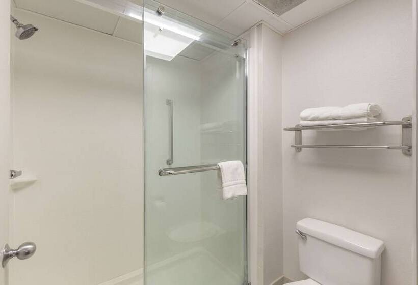 Номер Стандарт, Comfort Inn Garner Clayton I40