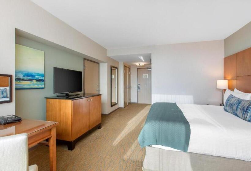 Cameră Deluxe, Omni San Diego