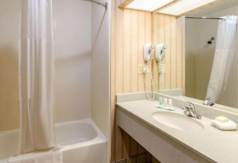 Стандартный Номер Кровать Кинг, Quality Inn & Suites
