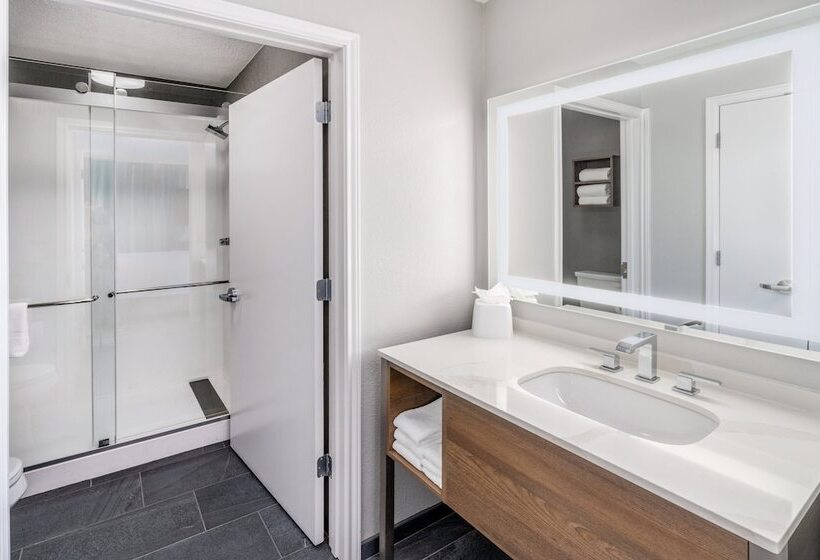 Студия Стандарт, Staybridge Suites Denver   Cherry Creek, An Ihg