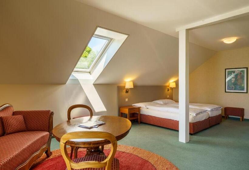 Полулюкс, Schönbühl Hotel & Restaurant Lake Thun