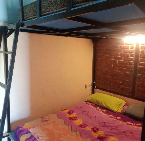Семейный Номер Вид на Сад, Salty Dog Hostel