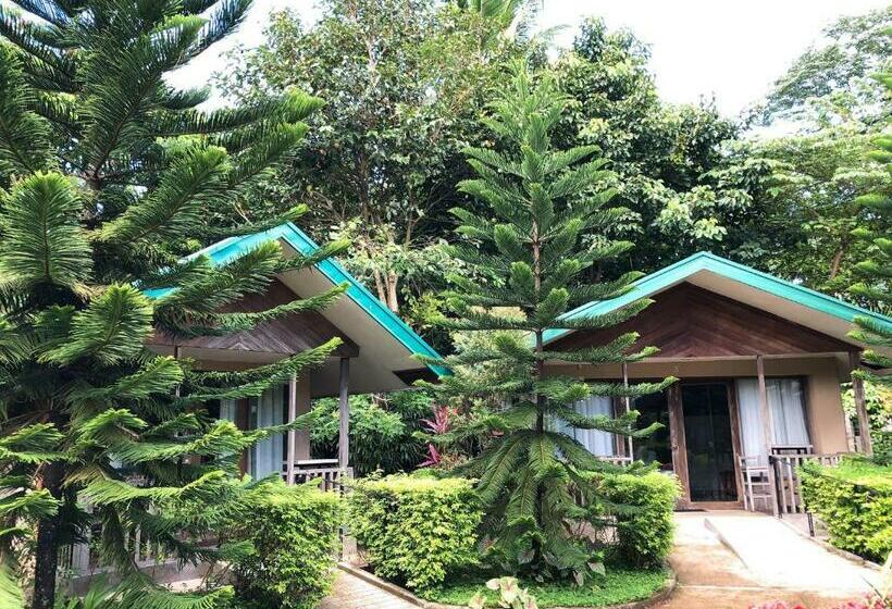 标准间, Ted S Bed And Breakfast