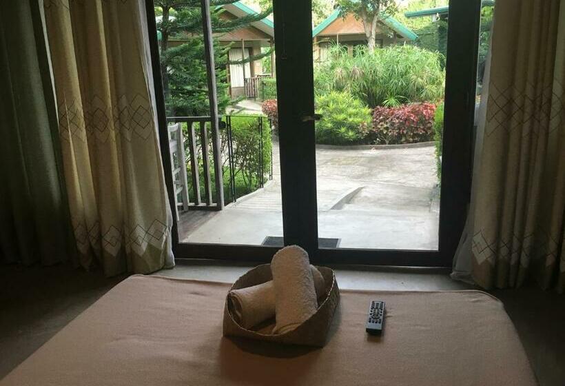 标准间, Ted S Bed And Breakfast