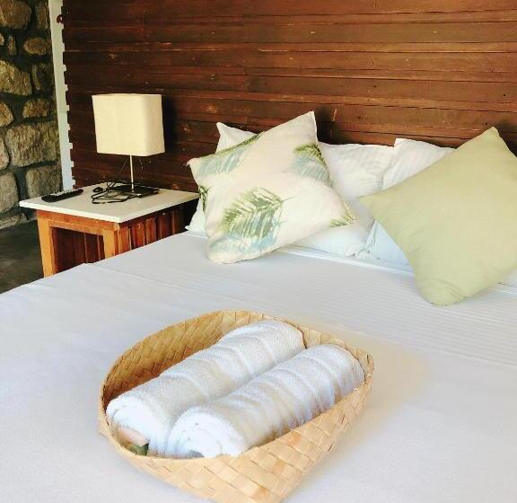 标准间, Ted S Bed And Breakfast