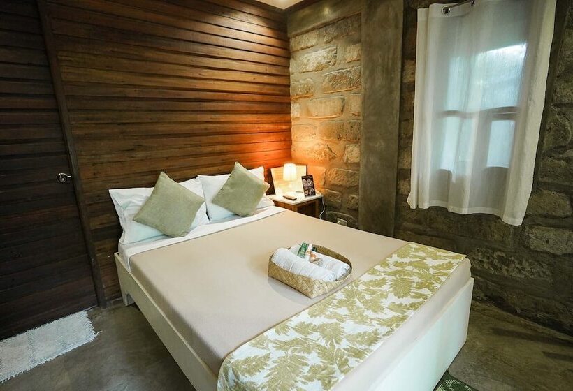 基本间, Ted S Bed And Breakfast