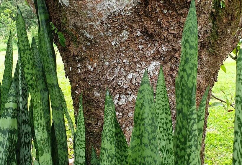 침실 1개 주택, Palm Grove Rainforest Retreat