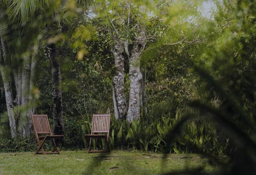 침실 1개 주택, Palm Grove Rainforest Retreat