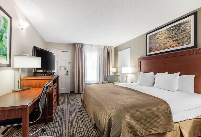 스탠다드 룸 더블 침대 2개, Quality Inn Gallatinnashville Metro