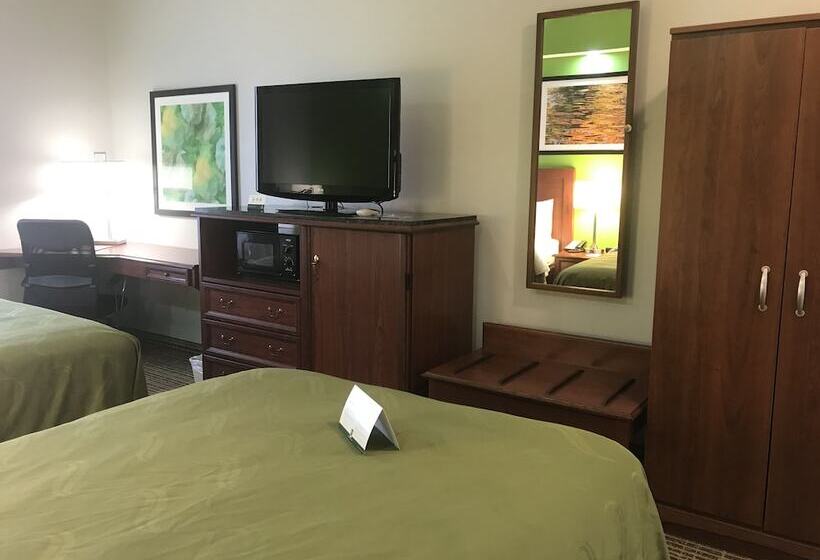 Номер Стандарт 2 Двуспальные Кровати, Quality Inn