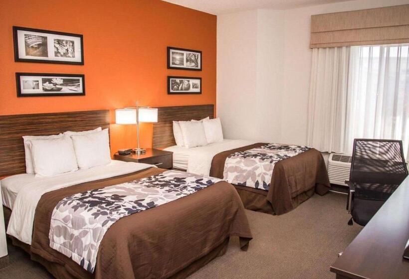 스탠다드 룸 더블 침대 2개, Sleep Inn & Suites At Concord Mills
