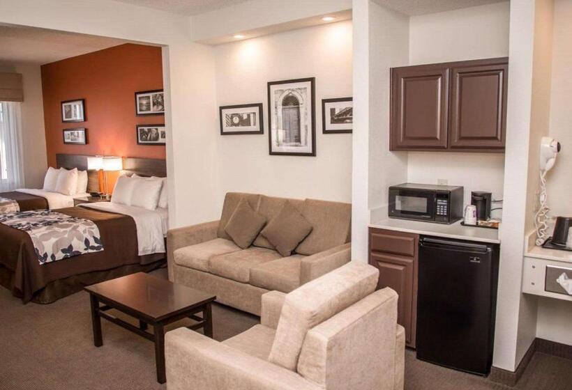 스위트, Sleep Inn & Suites At Concord Mills