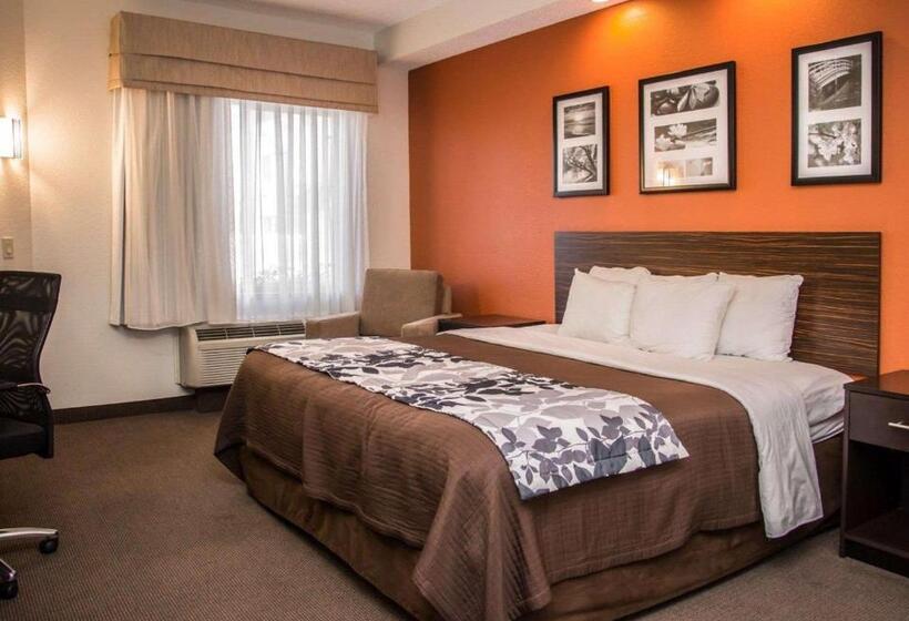 스위트 킹사이즈 침대, Sleep Inn & Suites At Concord Mills
