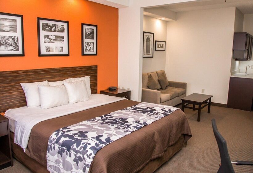 스위트, Sleep Inn & Suites At Concord Mills