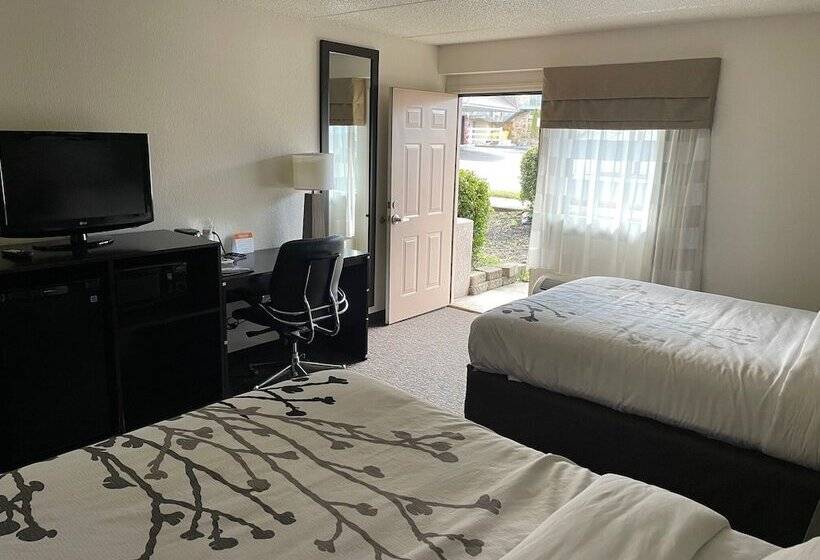 Номер Стандарт 2 Двуспальные Кровати, Sleep Inn & Suites Near Sports World Blvd
