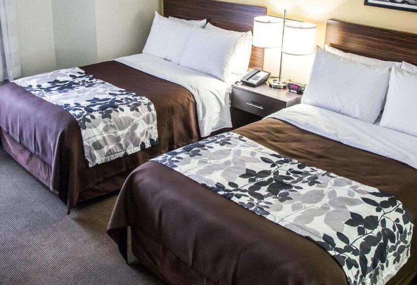 Номер Стандарт 2 Двуспальные Кровати, Sleep Inn Tinley Park I80 Near Amphitheatreconvention Center