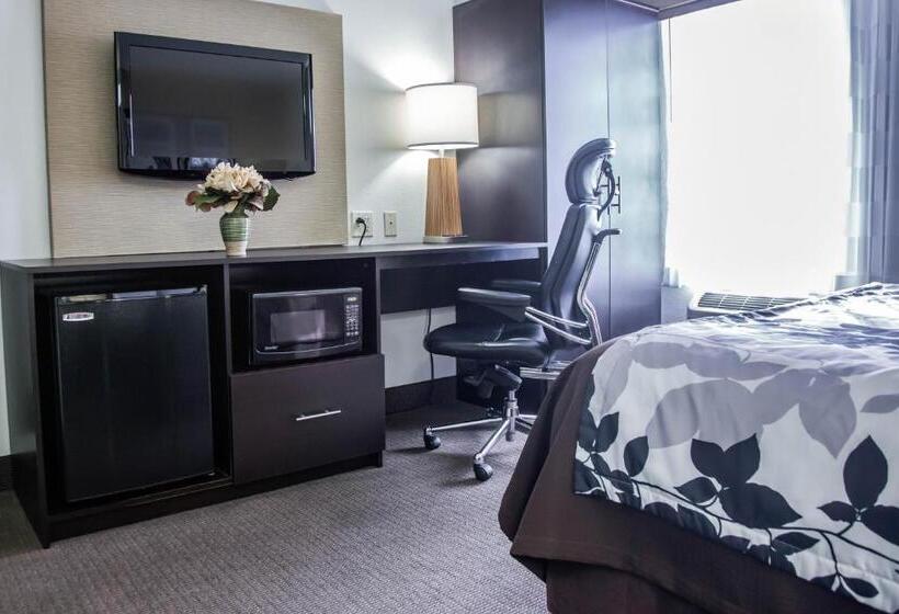 Номер Стандарт, Sleep Inn Tinley Park I80 Near Amphitheatreconvention Center