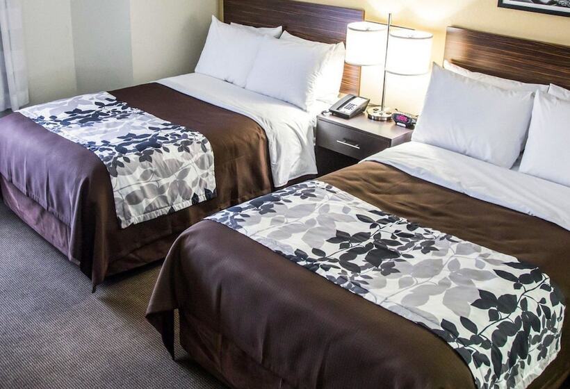 Номер Стандарт 2 Двуспальные Кровати, Sleep Inn Tinley Park I80 Near Amphitheatreconvention Center