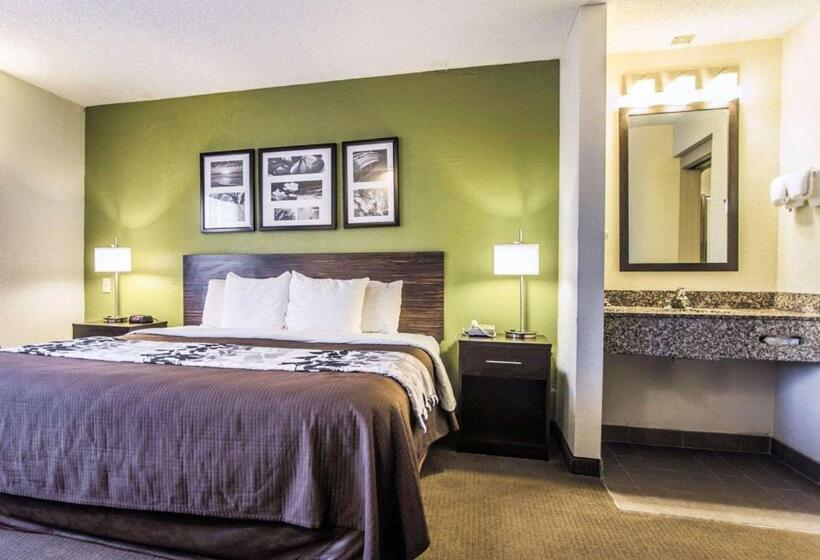 Номер Стандарт Адаптированный для Инвалидов, Sleep Inn Walterboro I95