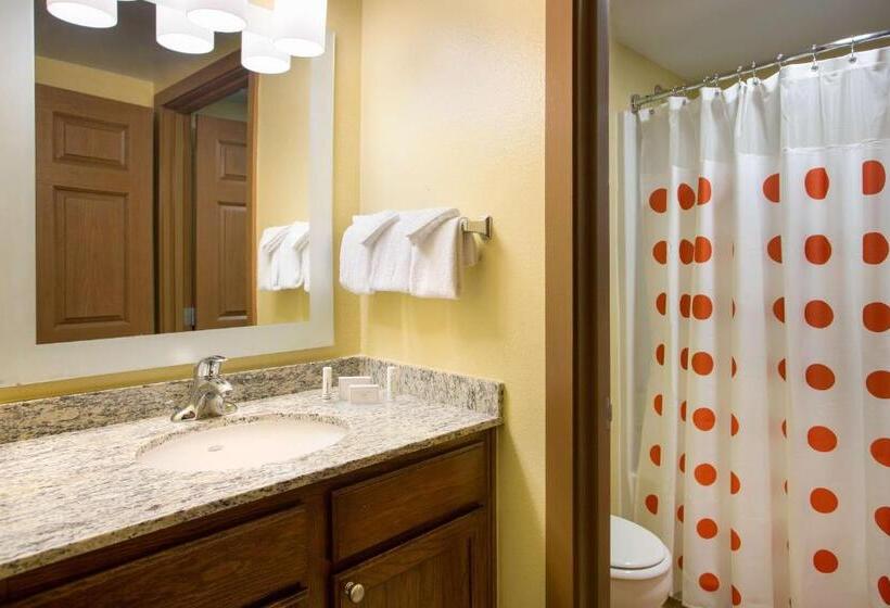 Люкс 2 Спальни, Sonesta Simply Suites Detroit Novi