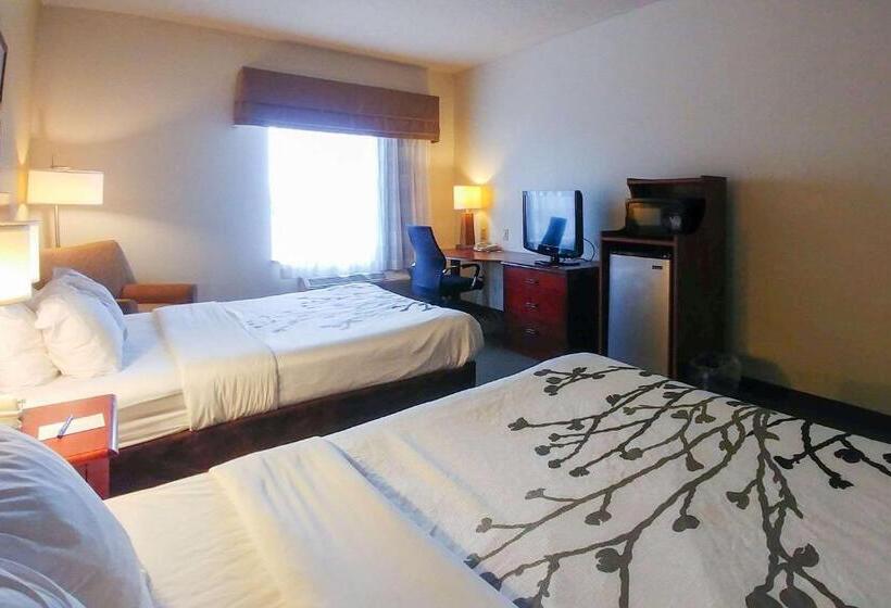 Номер Стандарт, Wingate By Wyndham Dublin Near Claytor Lake State Park