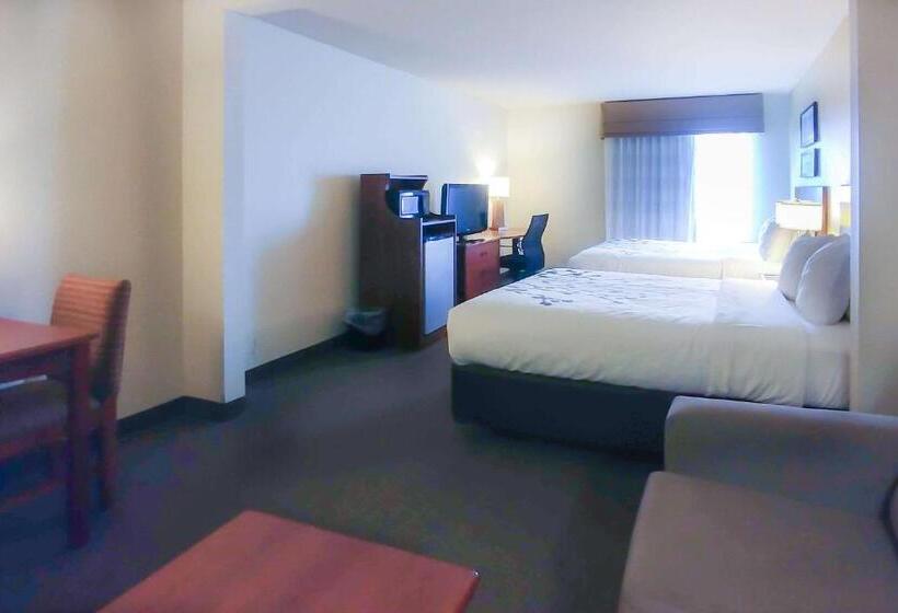Студия Стандарт, Wingate By Wyndham Dublin Near Claytor Lake State Park