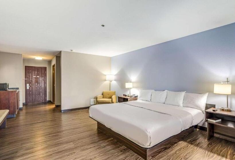 스탠다드 룸 킹사이즈 침대, Quality Inn Calvert City  Paducah East