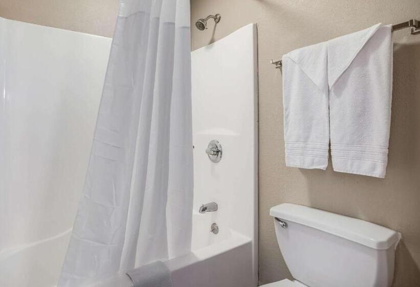 غرفة قياسية سرير كينج لذوى الإحتياجات الخاصة, Quality Inn Calvert City  Paducah East