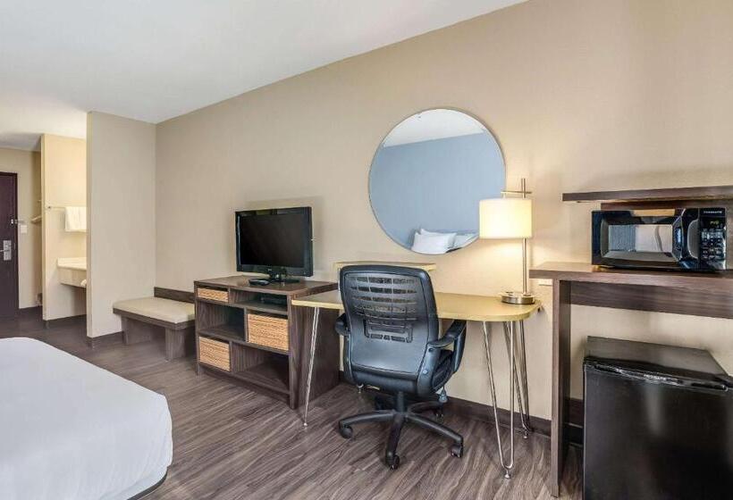 غرفة قياسية لذوى الاحتياجات الخاصة, Quality Inn Calvert City  Paducah East