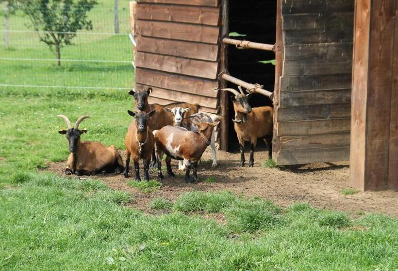 Номер Стандарт Вид на Сад, B&b Au Fil Des Saisons Sur La Wiels