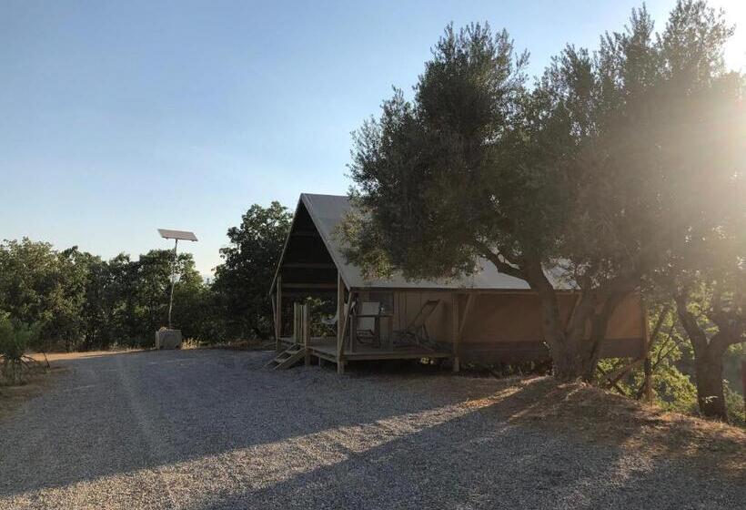Standard Tent, Castello Di Serragiumenta