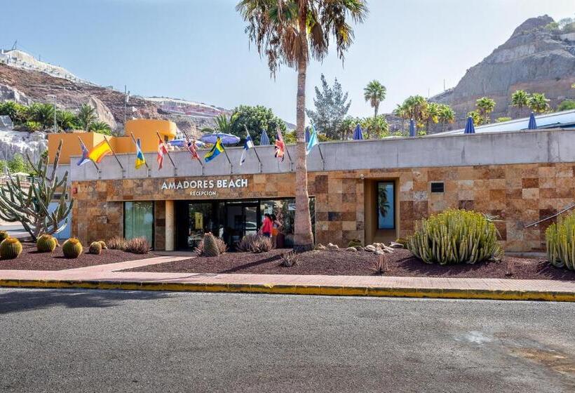 آپارتمان 1 خوابه با چشم‌انداز دریا, Amadores Beach Apartments