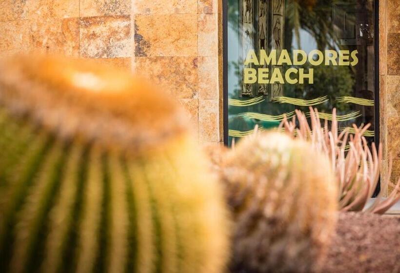 آپارتمان 1 خوابه با چشم‌انداز دریا, Amadores Beach Apartments