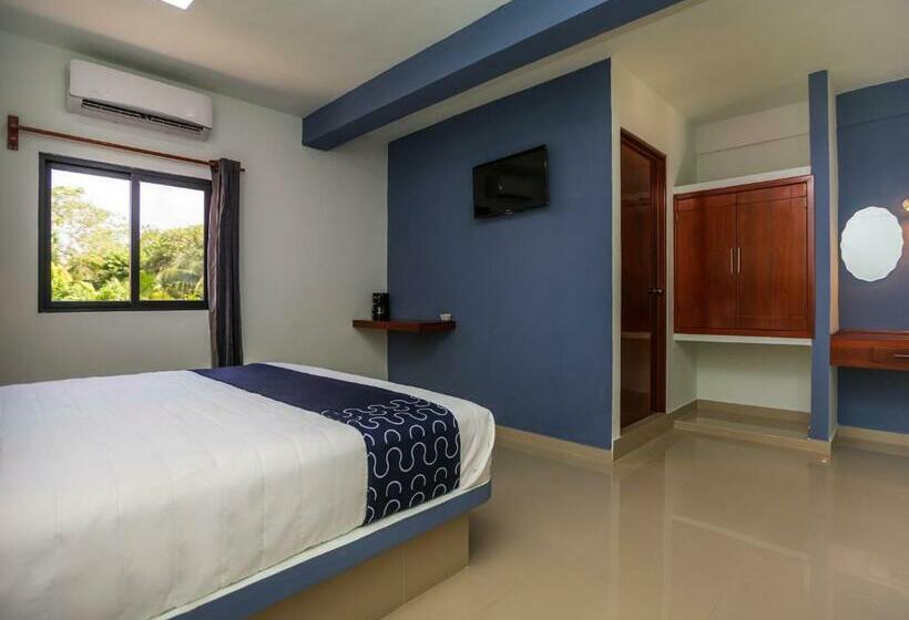 Habitación Superior, Pejelagarto