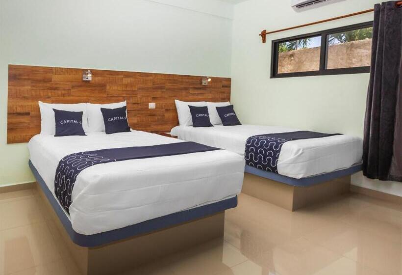 Habitación Estándar, Pejelagarto