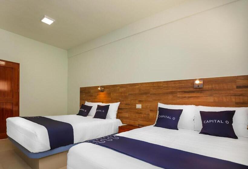 Habitación Estándar, Pejelagarto