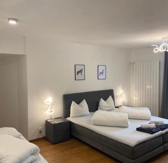 Номер Стандарт, B&b Berninapass