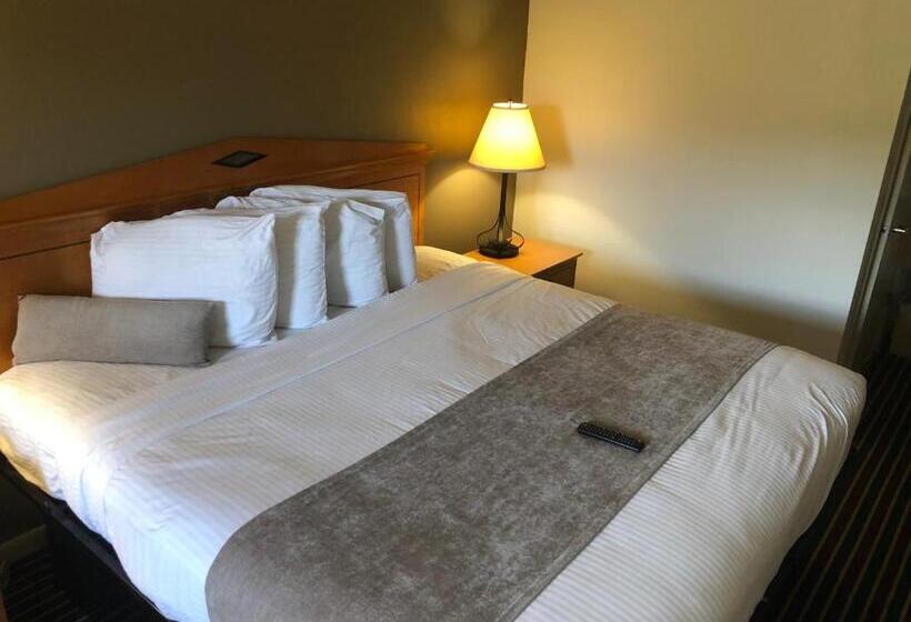 Стандартный Номер Кровать Кинг, Budget Inn Timmonsville