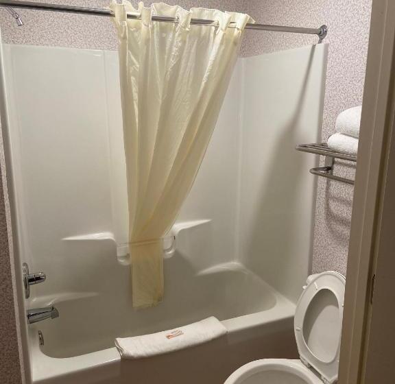 Номер Стандарт 2 Двуспальные Кровати, Budget Inn Timmonsville