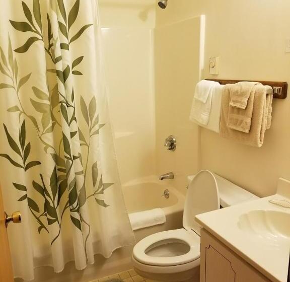 Номер Deluxe, Kancamagus Swift River Inn